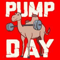 Funny Weight Lifting Hump Day Camel Fitness Humor Santa Hat thumb 1
