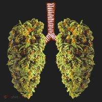 Funny Weed Lung Marijuana Bud THC Lung TShirt Beanie thumb 2