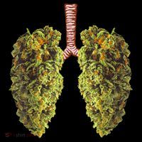 Funny Weed Lung Marijuana Bud THC Lung TShirt Kids Long Sleeve Shirt thumb 2