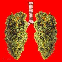 Funny Weed Lung Marijuana Bud THC Lung TShirt Santa Hat thumb 1