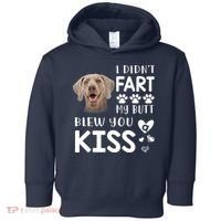 Funny Weimaraner Mom Dad Dog Lovers Gift Toddler Hoodie thumb 0