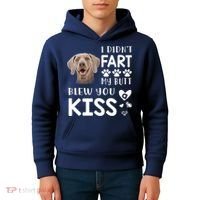 Funny Weimaraner Mom Dad Dog Lovers Gift Kids Hoodie thumb 4