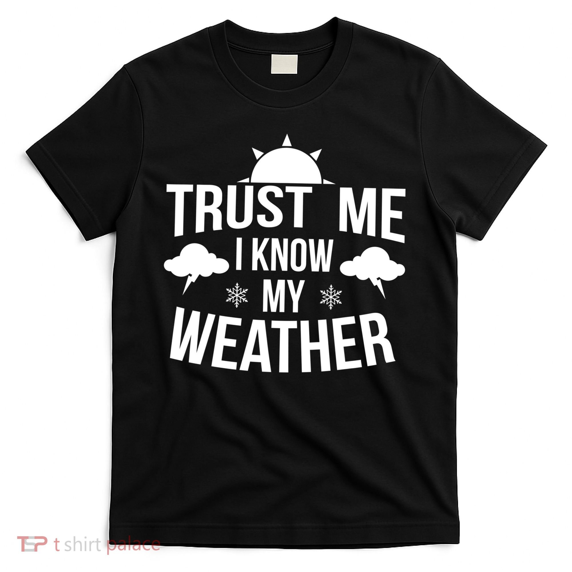 Funny Weather Meteorologist Gift Forecaster Weatherman Climate Fun Gift T-Shirt