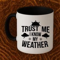 Funny Weather Meteorologist Gift Forecaster Weatherman Climate Fun Gift Coffee Mug thumb 2