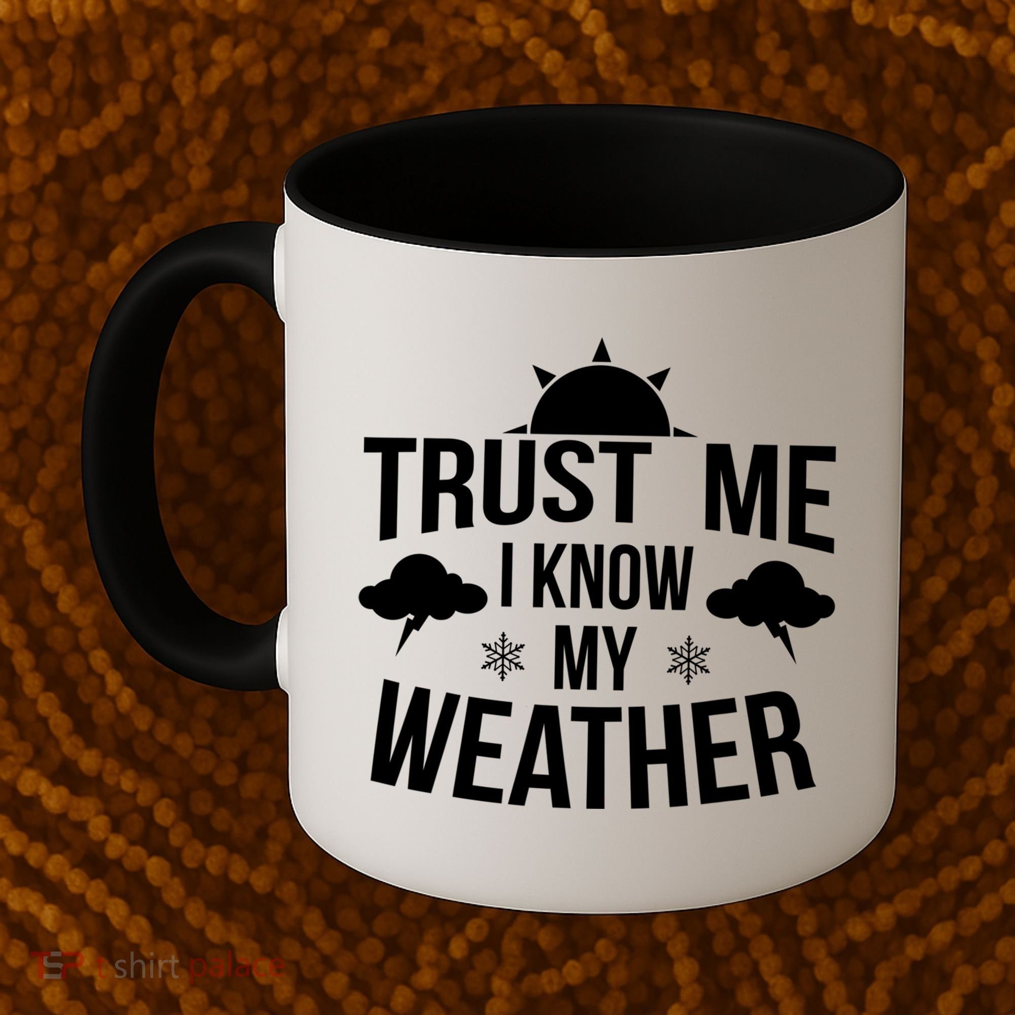 Funny Weather Meteorologist Gift Forecaster Weatherman Climate Fun Gift Coffee Mug