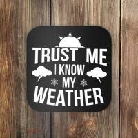 Funny Weather Meteorologist Gift Forecaster Weatherman Climate Fun Gift Coaster thumb 0