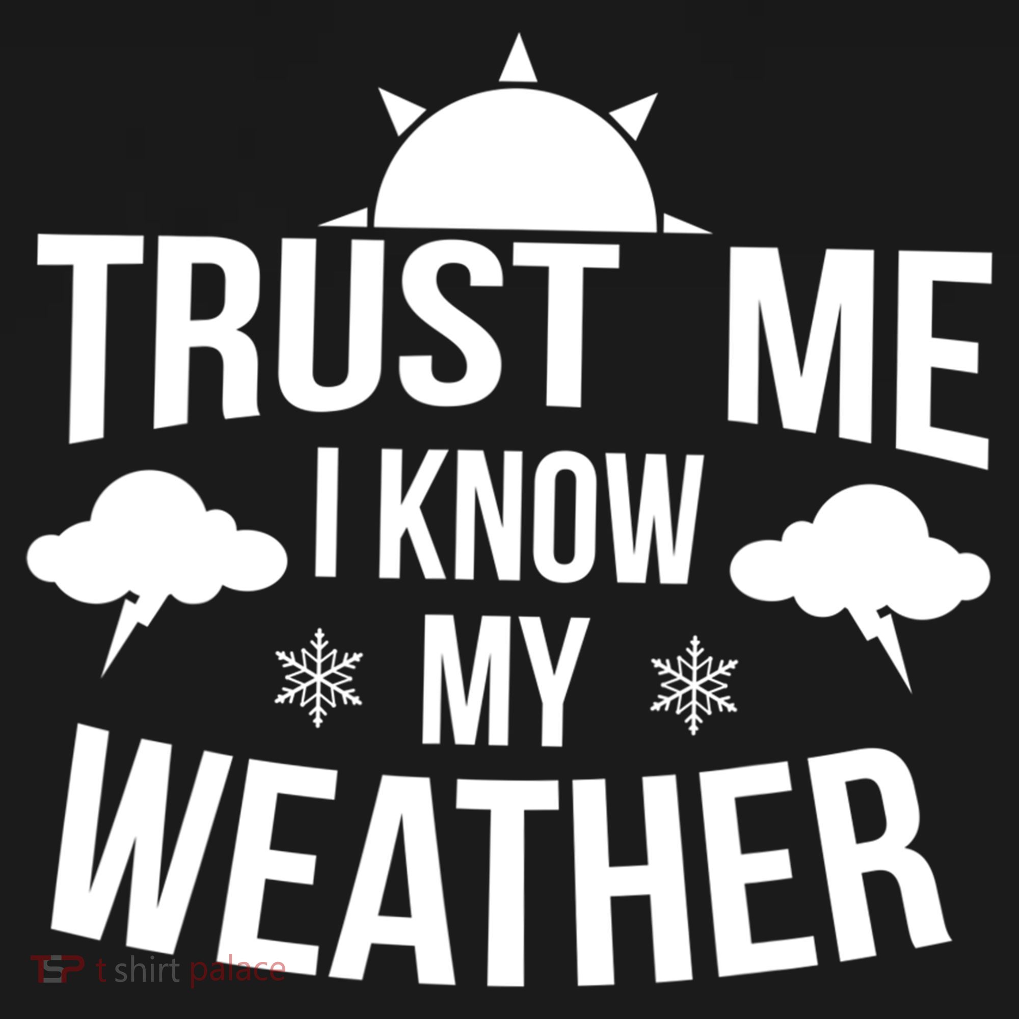 Funny Weather Meteorologist Gift Forecaster Weatherman Climate Fun Gift Women's Tank Top