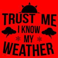 Funny Weather Meteorologist Gift Forecaster Weatherman Climate Fun Gift Santa Hat thumb 1