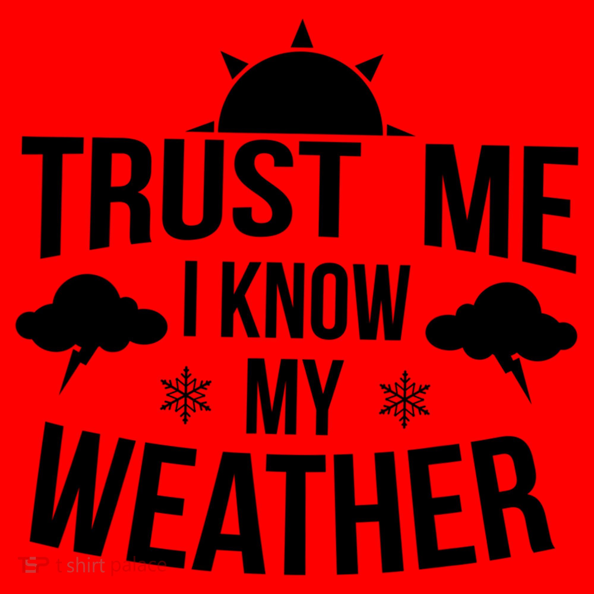 Funny Weather Meteorologist Gift Forecaster Weatherman Climate Fun Gift Santa Hat