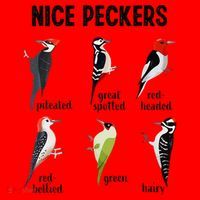 Funny Woodpecker Nice Peckers Bird Watching Santa Hat thumb 1