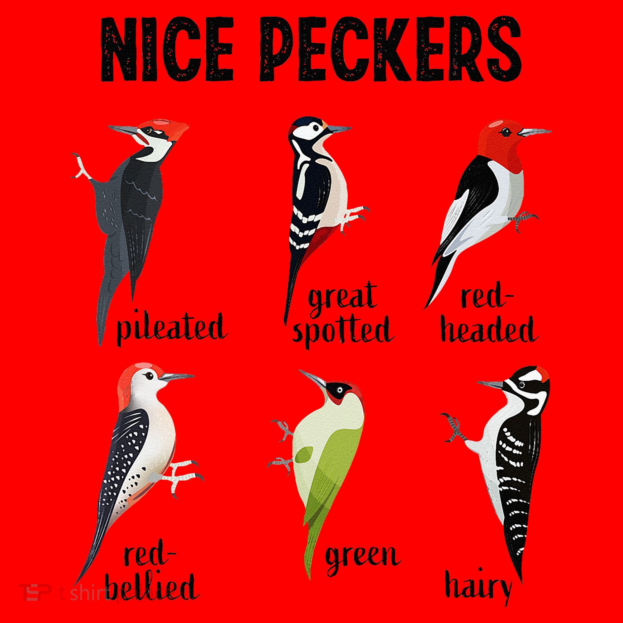 Funny Woodpecker Nice Peckers Bird Watching Santa Hat
