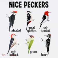 Funny Woodpecker Nice Peckers Bird Watching Women's Tank Top thumb 5