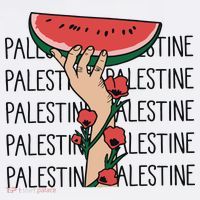 Floral Watermelon Palestine Watermelon Women's T-Shirt thumb 6