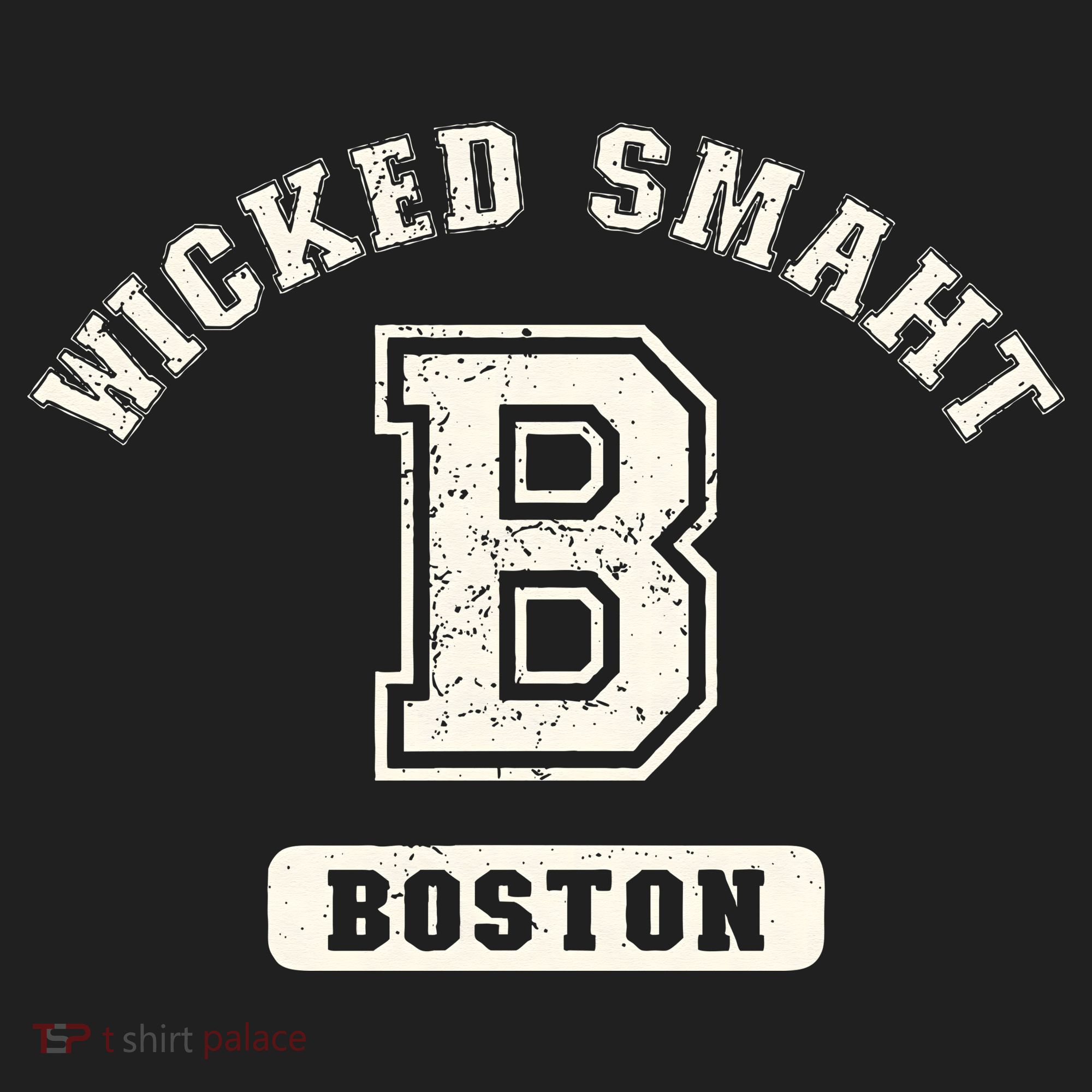 Funny Wicked Smaht Boston Massachusetts Beanie