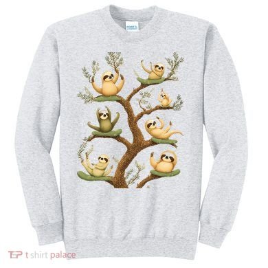 Funny Whimsical Sloth Lover Design Cute Gift Sweatshirt