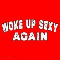 Funny Woke Up Sexy Again Funny Saying Santa Hat thumb 1