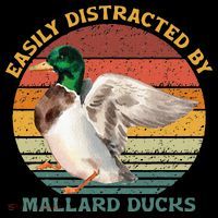Funny Waterfowl Wild Birds Easily Distracted By Mallard Duck Coffee Mug thumb 5