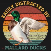 Funny Waterfowl Wild Birds Easily Distracted By Mallard Duck Coaster thumb 2