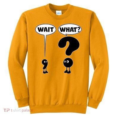 Funny Wait What Comma Question Mark Comic Sweatshirt