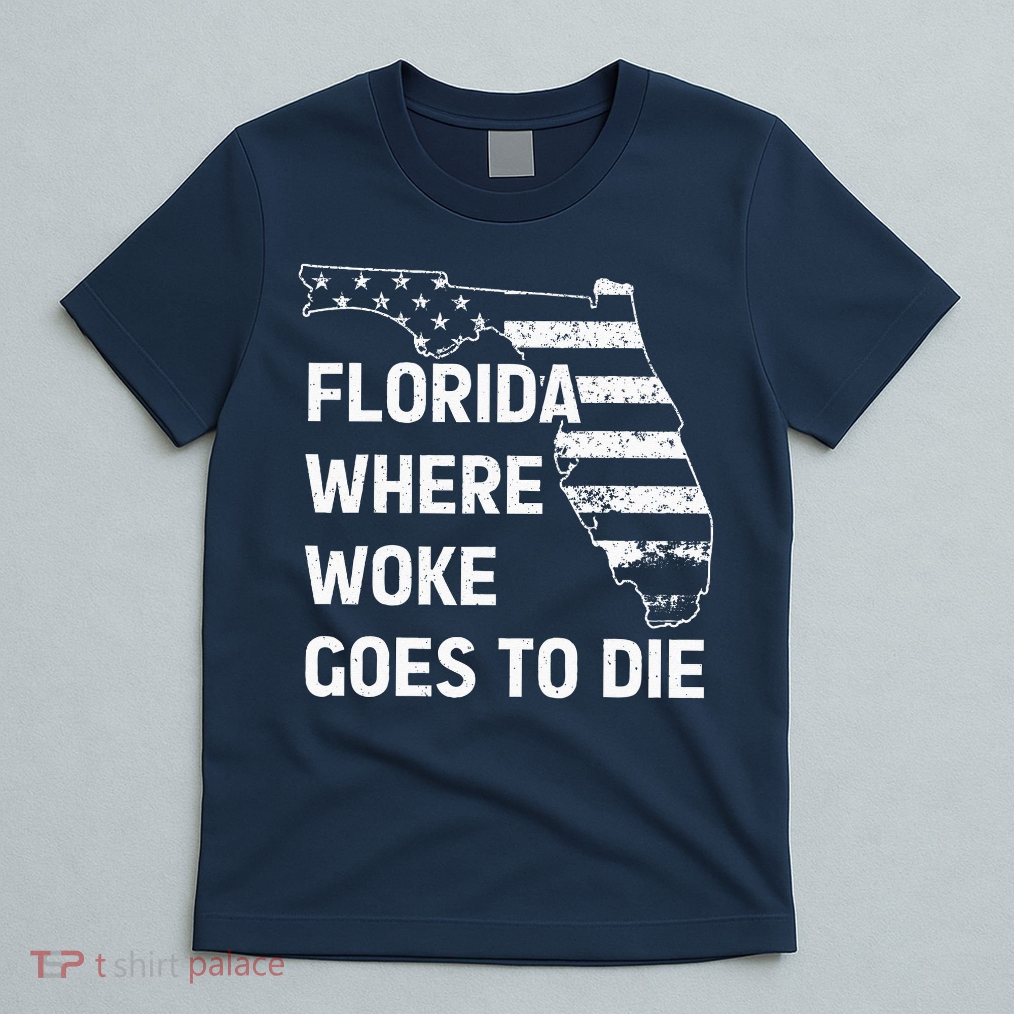 Florida Where Woke Goes To Die Funny Retro T-Shirt