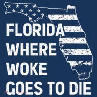 Florida Where Woke Goes To Die Funny Retro Coaster thumb 2