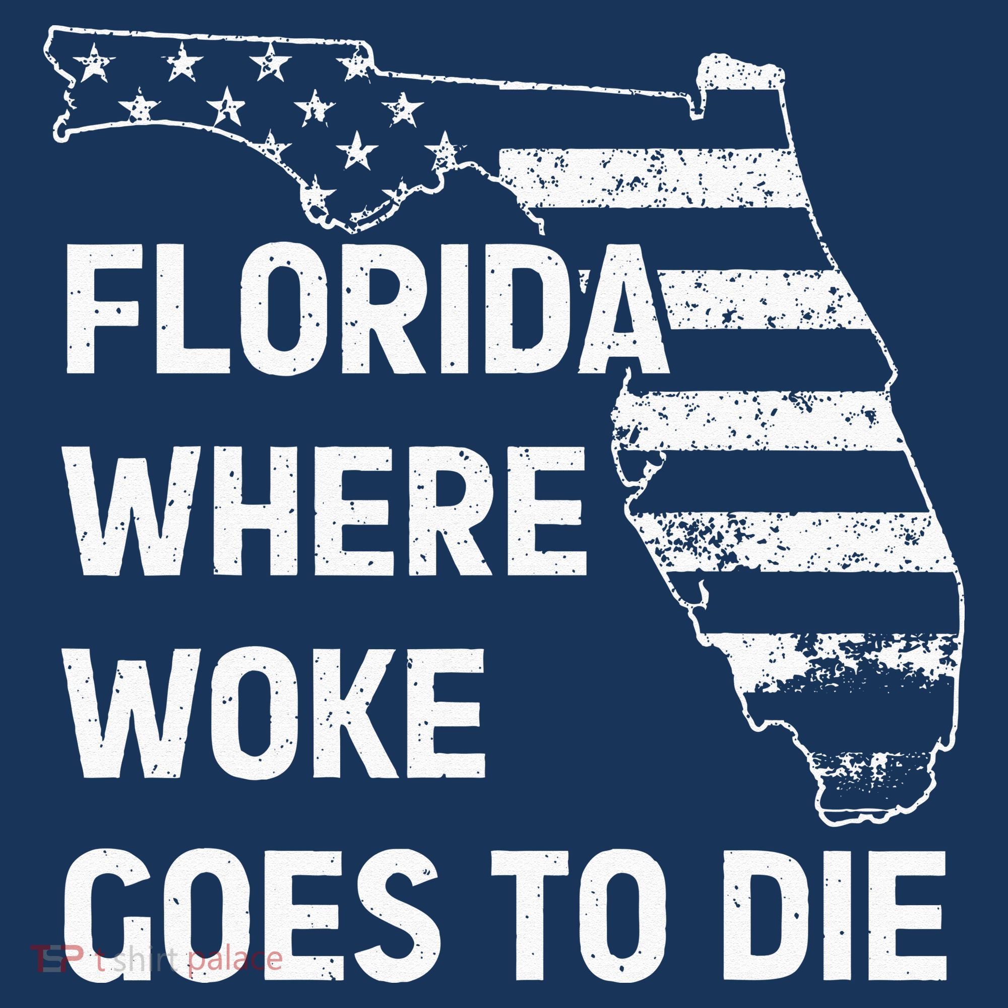 Florida Where Woke Goes To Die Funny Retro Women's Tank Top