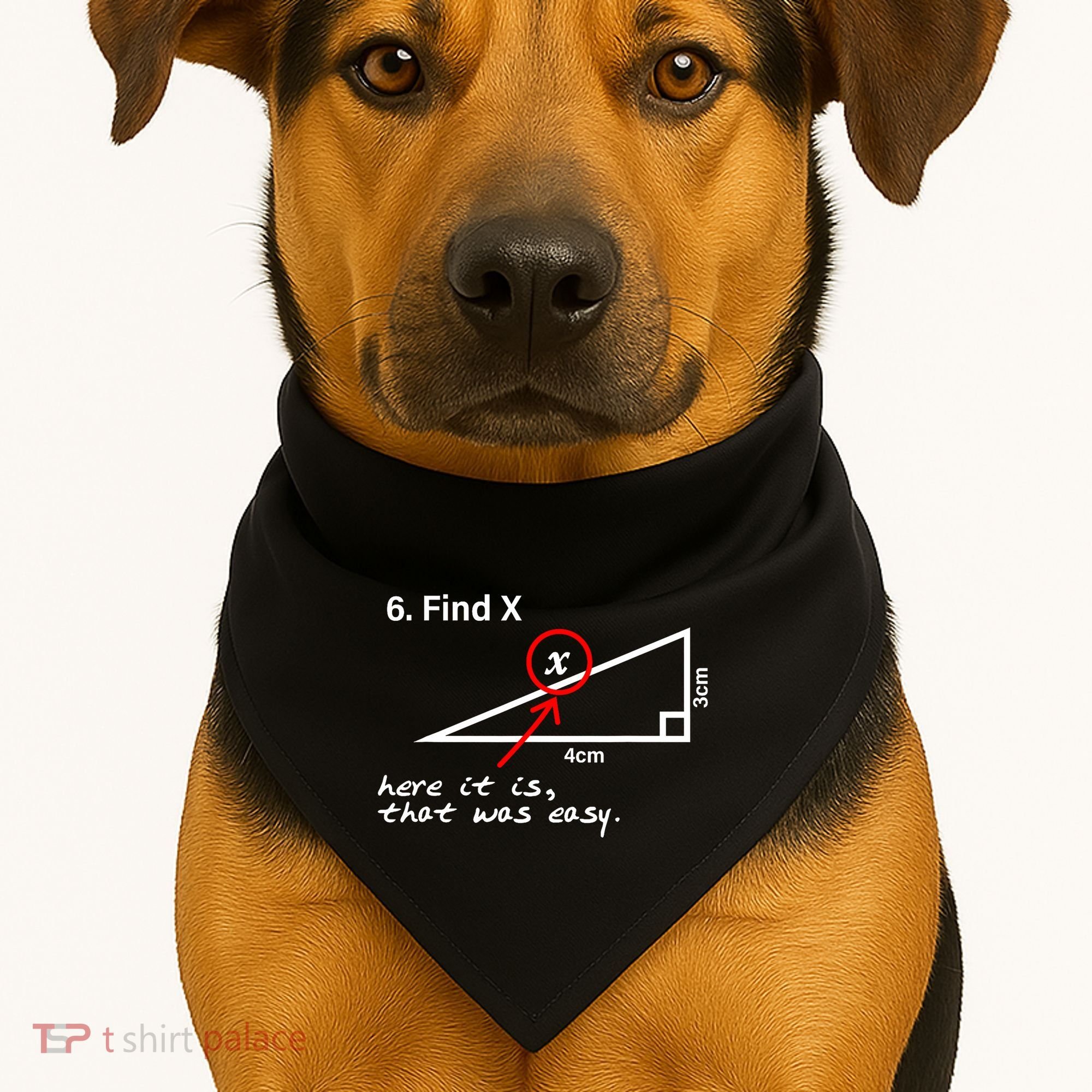 Find X Here It Is That Was Easy USA-Made Doggie Bandana