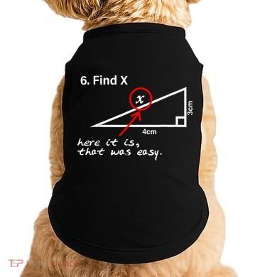 Find X Here It Is That Was Easy Funny Math Lover Doggie Tank