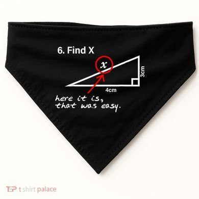 Find X Here It Is That Was Easy Funny Math Lover USA-Made Doggie Bandana