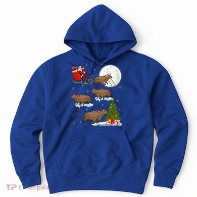 Funny Xmas Lighting Tree Santa Riding Capybara Christmas Gift Hoodie