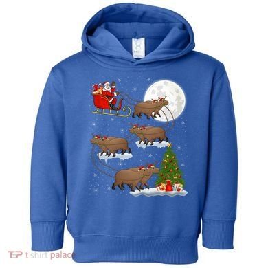 Funny Xmas Lighting Tree Santa Riding Capybara Christmas Gift Toddler Hoodie