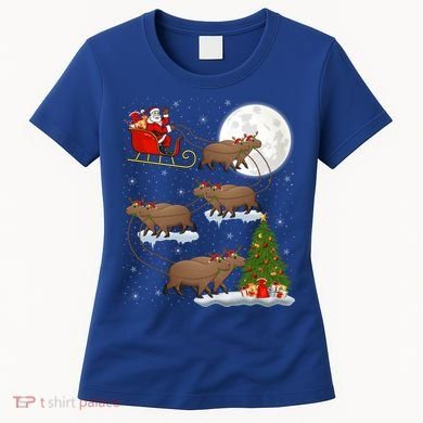 Funny Xmas Lighting Tree Santa Riding Capybara Christmas Gift Women's T-Shirt