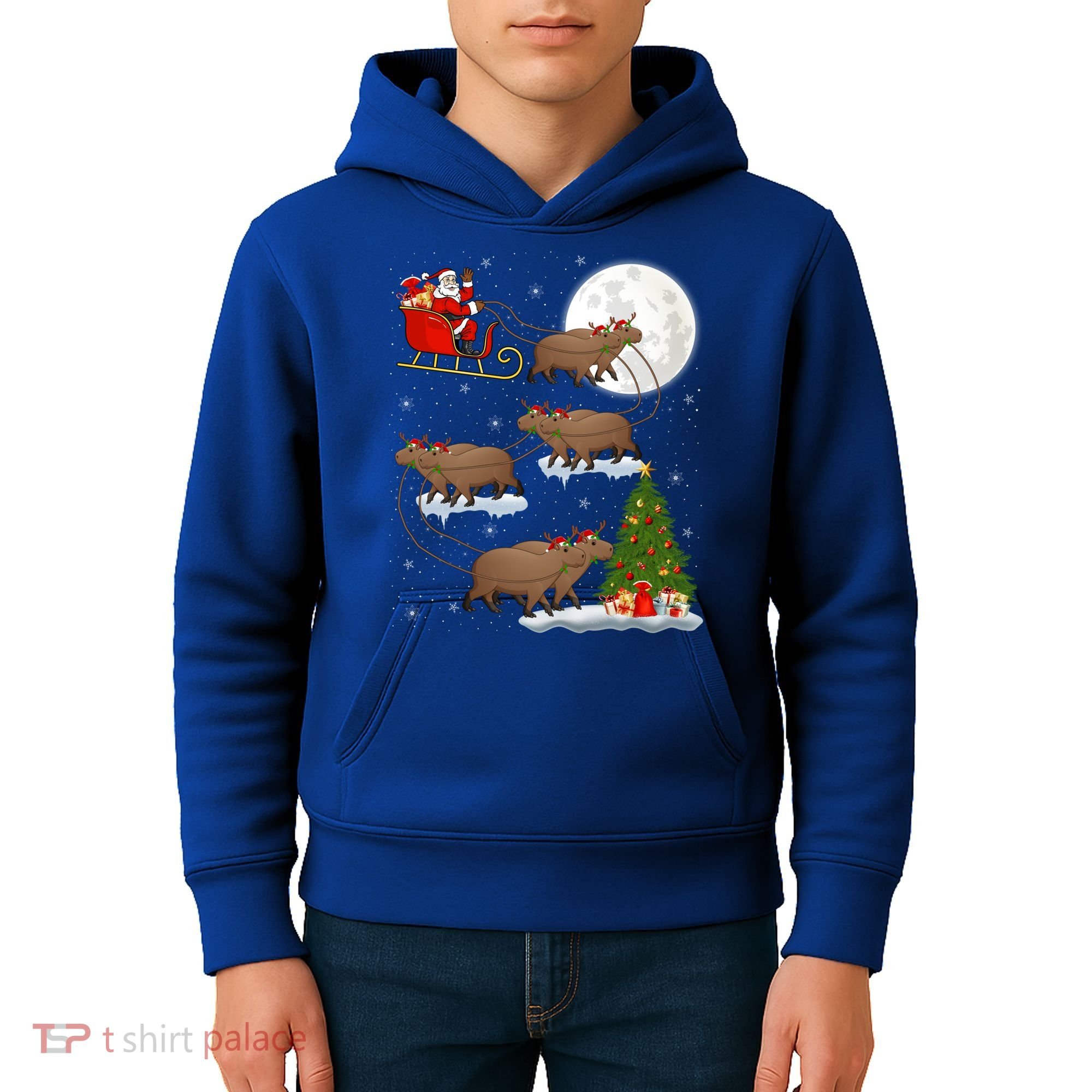 Funny Xmas Lighting Tree Santa Riding Capybara Christmas Gift Kids Hoodie