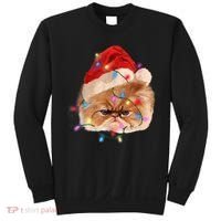 Funny Xmas Persian Cat Christmas Lights Adorable Face Fluffy TShirt Sweatshirt thumb 0