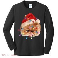 Funny Xmas Persian Cat Christmas Lights Adorable Face Fluffy TShirt Kids Long Sleeve Shirt thumb 0
