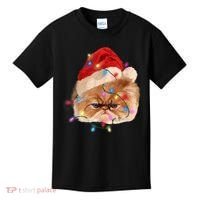 Funny Xmas Persian Cat Christmas Lights Adorable Face Fluffy TShirt Kids T-Shirt thumb 0