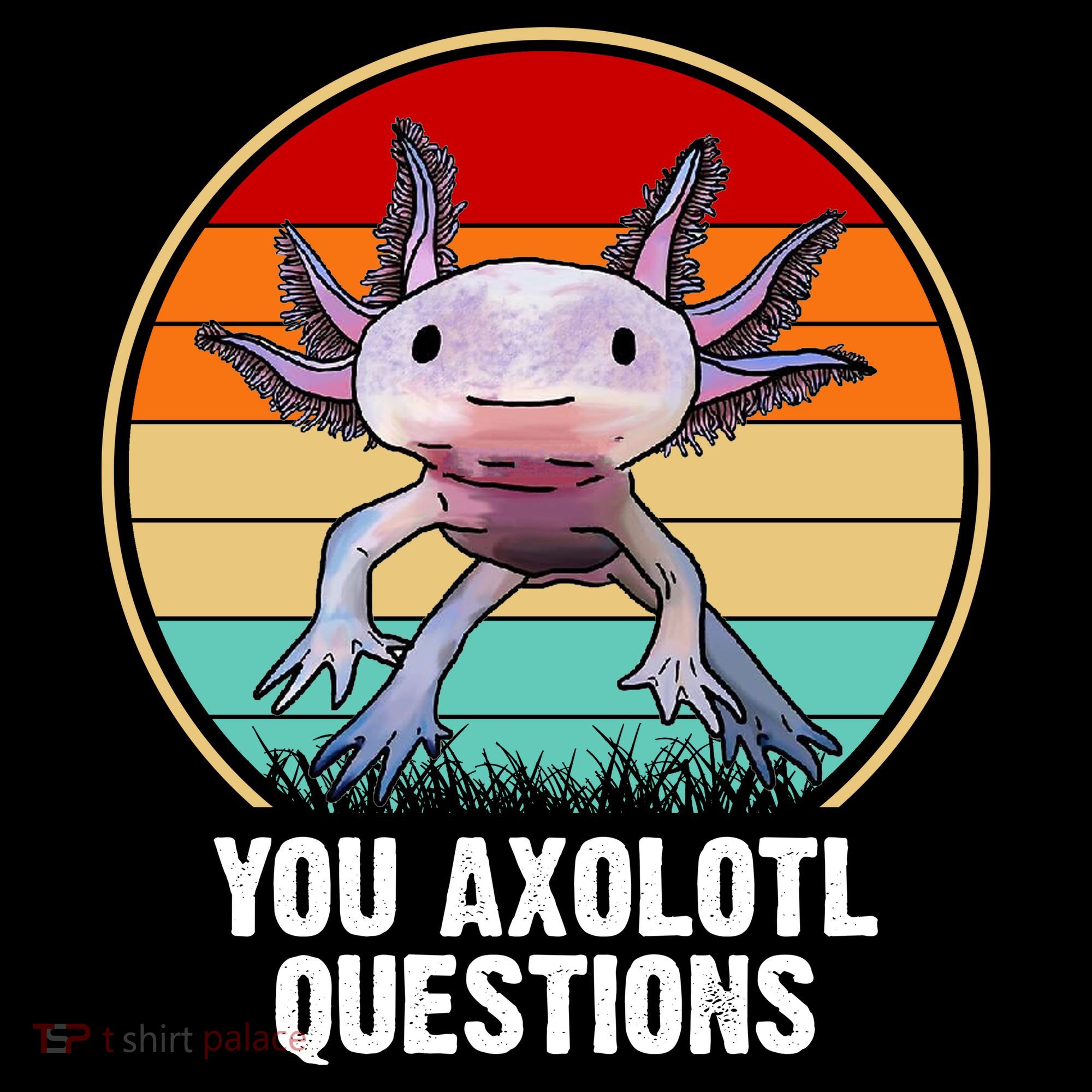 Funny You Axolotl Questions Women's T-Shirt