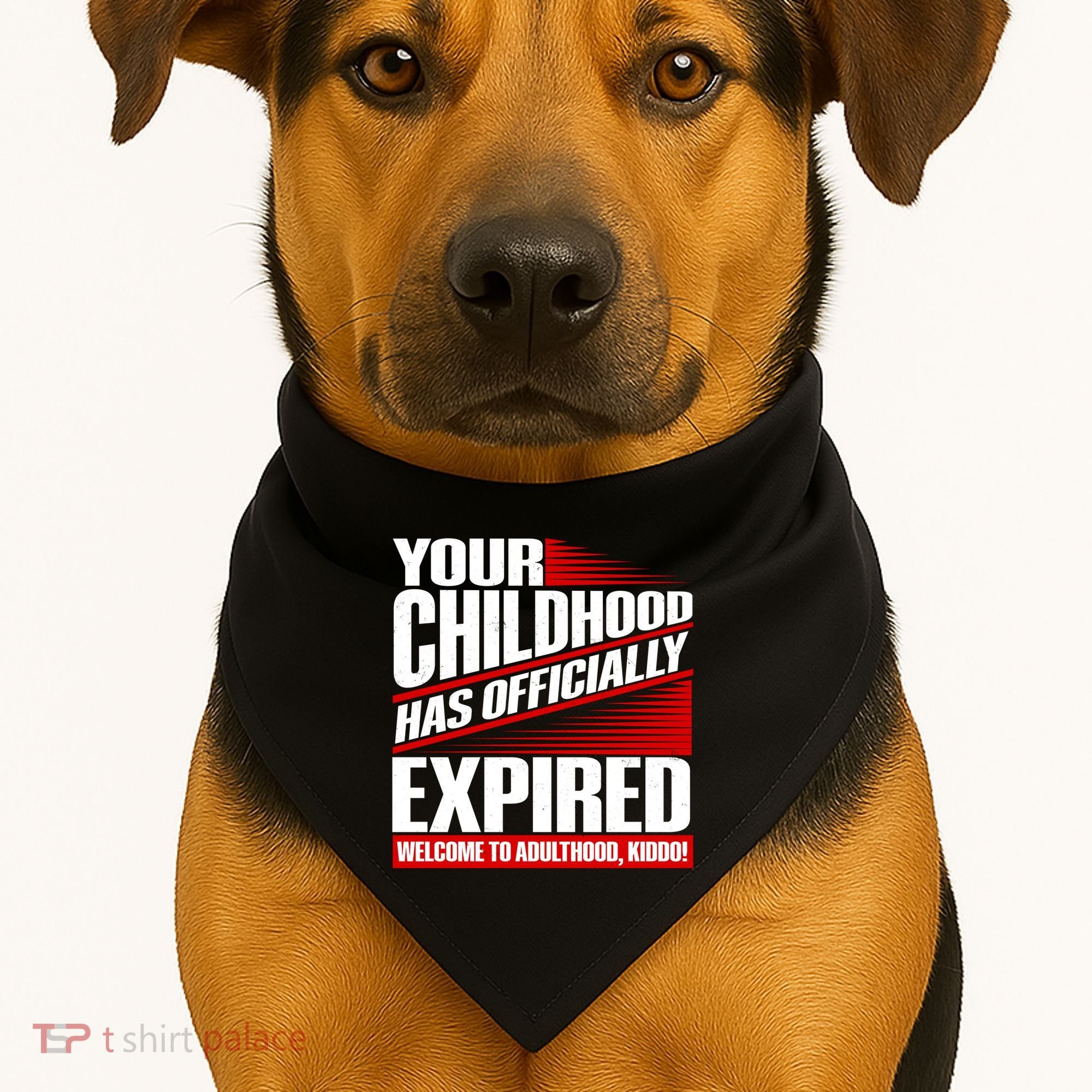 Funny Your Childhood Has Officially Expired Happy Birthday USA-Made Doggie Bandana