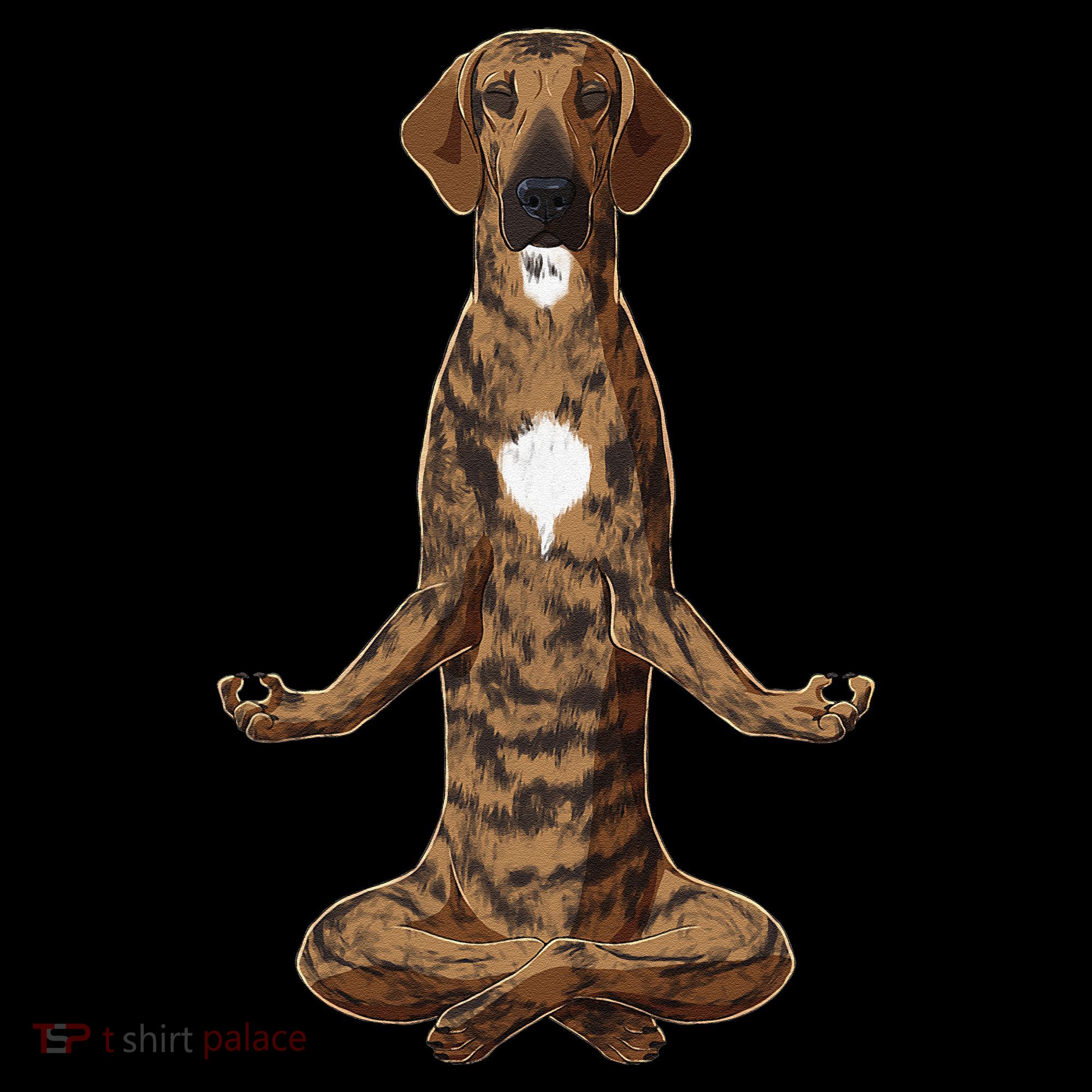 Funny Yoga Dog Plott Hound Coffee Mug
