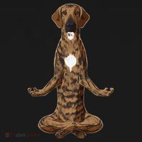 Funny Yoga Dog Plott Hound Coaster thumb 2