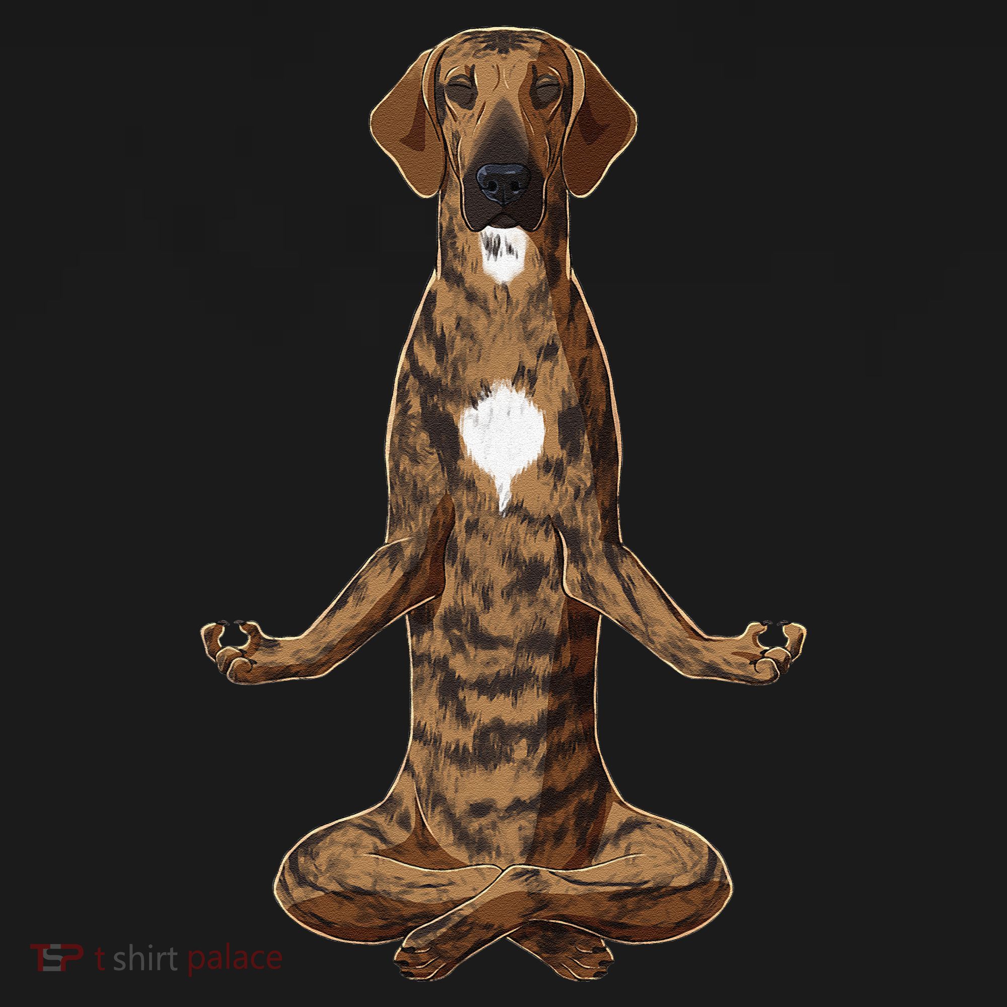 Funny Yoga Dog Plott Hound Coaster