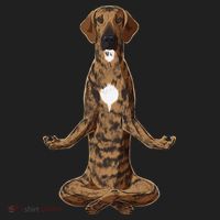 Funny Yoga Dog Plott Hound Tumbler thumb 3