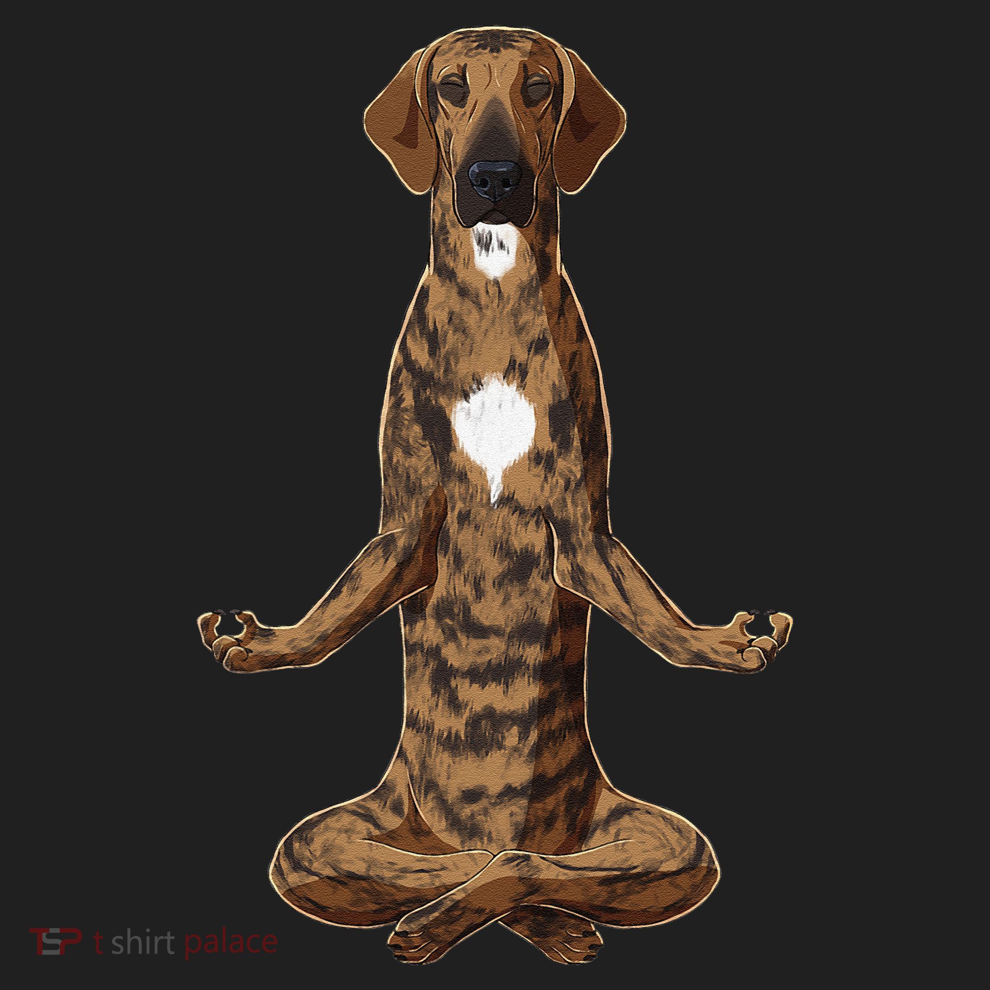 Funny Yoga Dog Plott Hound Tumbler