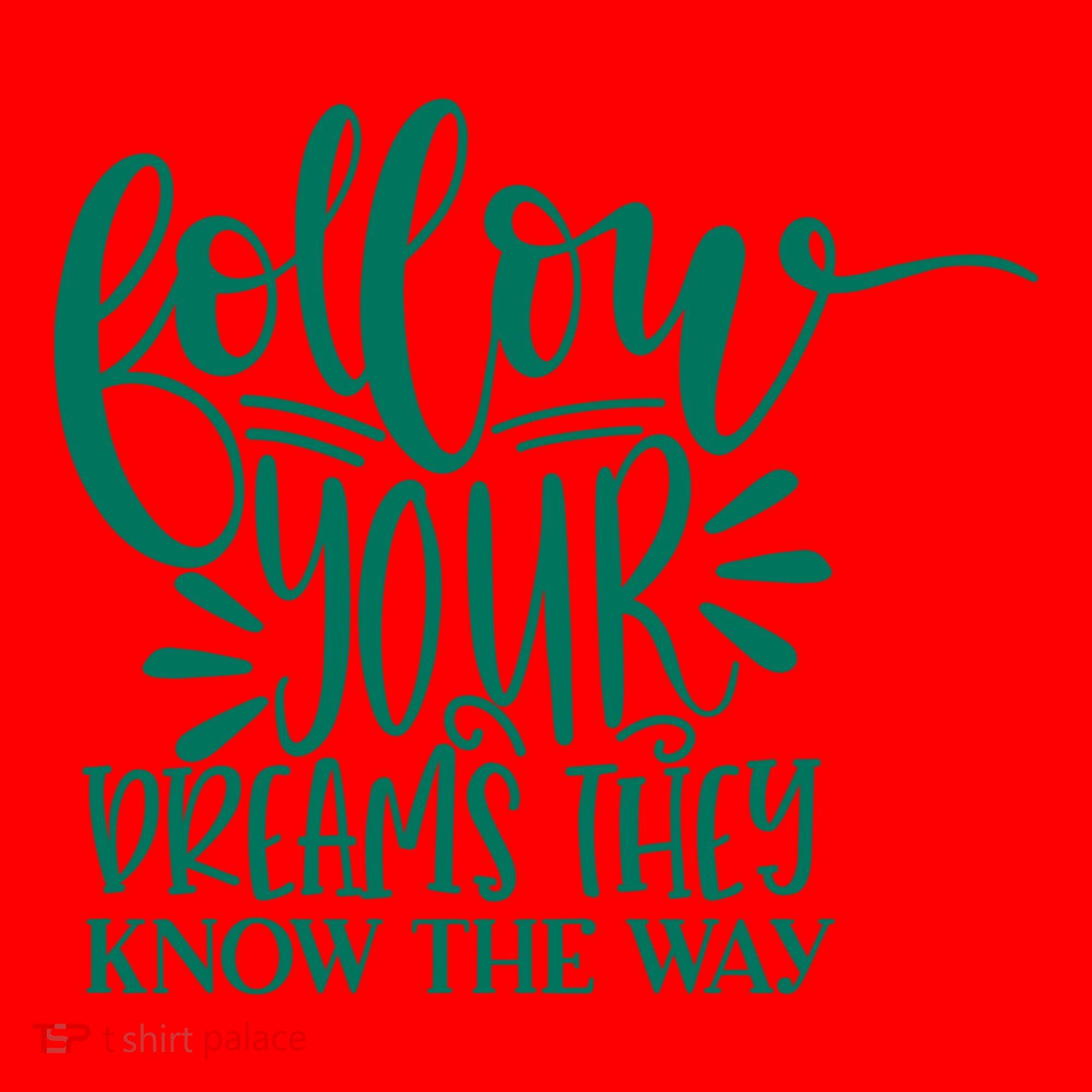 Follow Your Dreams They Know The Way Funny Santa Hat