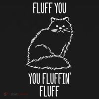 Fluff You Fluffin Fluff Cat Saying Sarcastic Gift Bucket Hat thumb 4