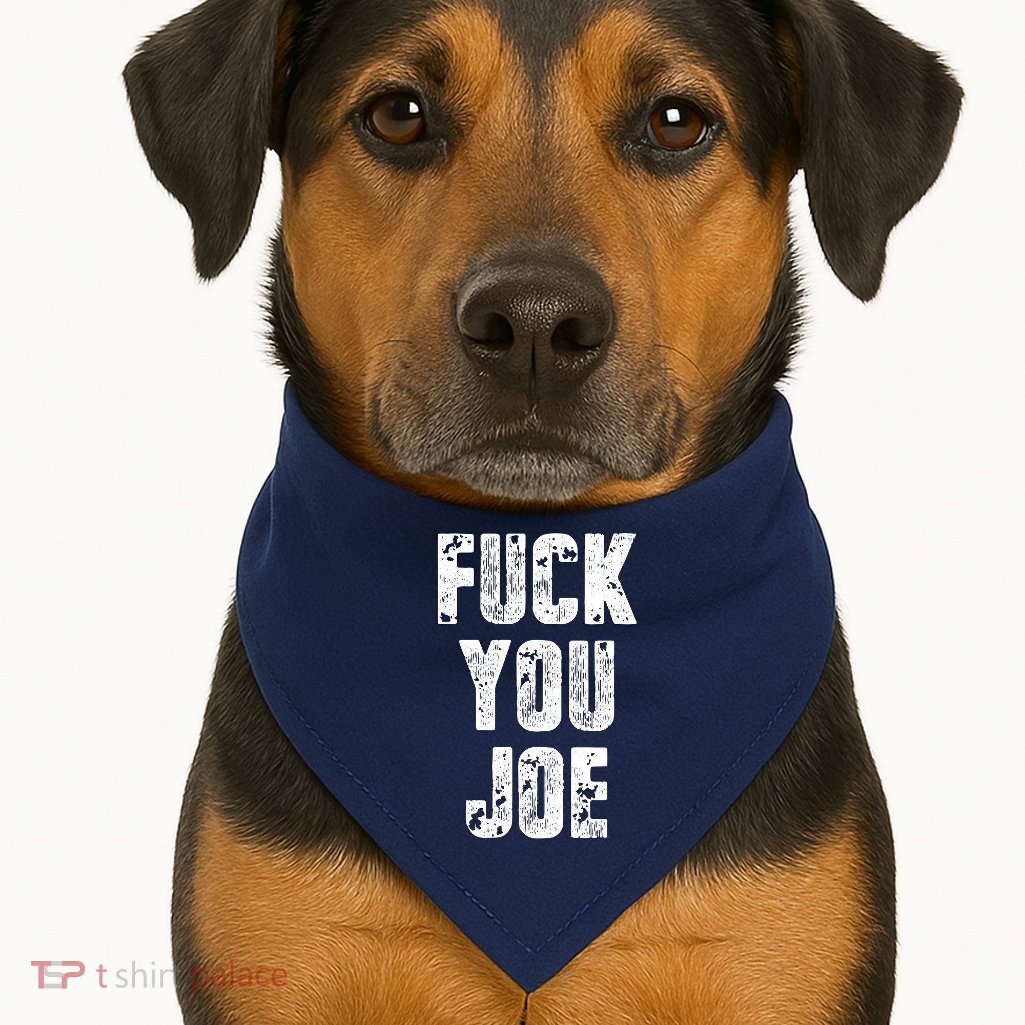 F*ck You Joe USA-Made Doggie Bandana