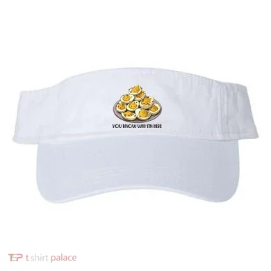 Visor