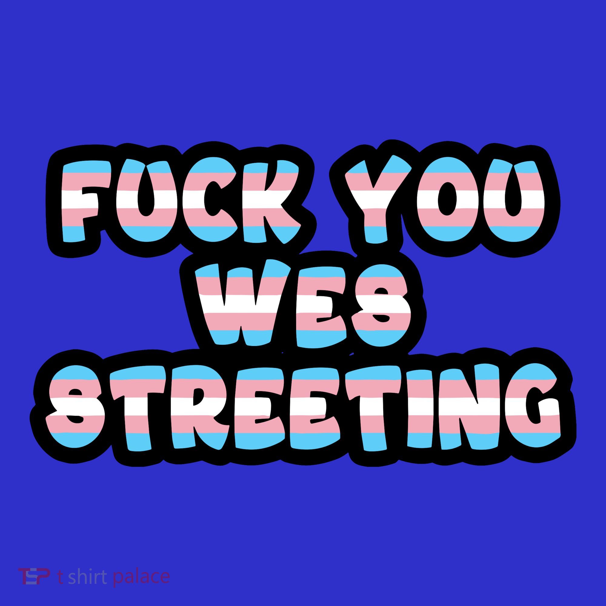 Fuck You Wes Streeting Protect Tank Top