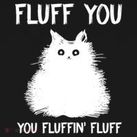 Fluff You You Fluffin' Fluff Shirt Funny Cat Kitten TShirts Women's Hoodie thumb 2