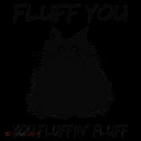 Fluff You You Fluffin Fluff Funny Cat Kitten Coffee Mug thumb 5